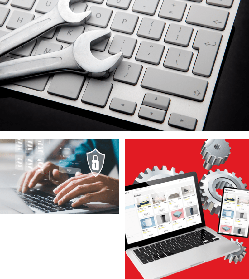 web-hosting-and-maintenance